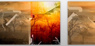 Photoshop & Illustrator
