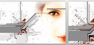 Photoshop & Illustrator