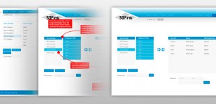 Web interface styling - SOFins