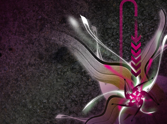 Illustration - using Photography, Illustrator and Photoshop